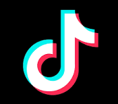 TikTok Icon